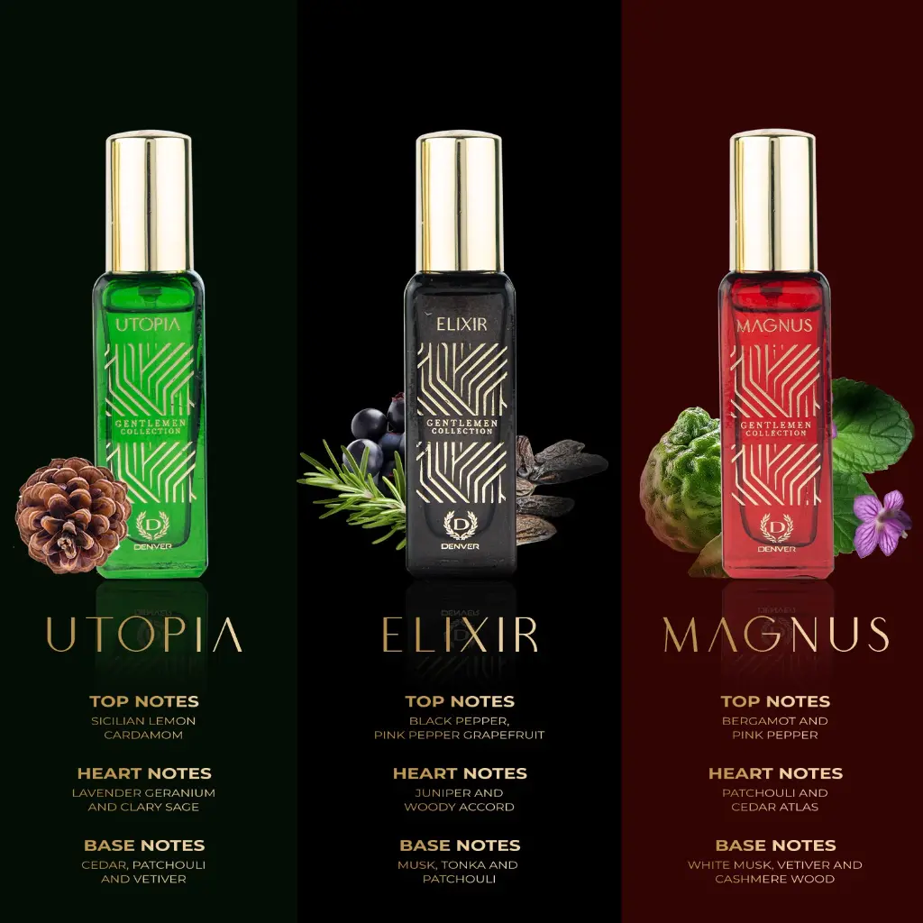 ingredients_7167c81d-f699-49f2-ab07-79ef3fe1d751_1500x.webp